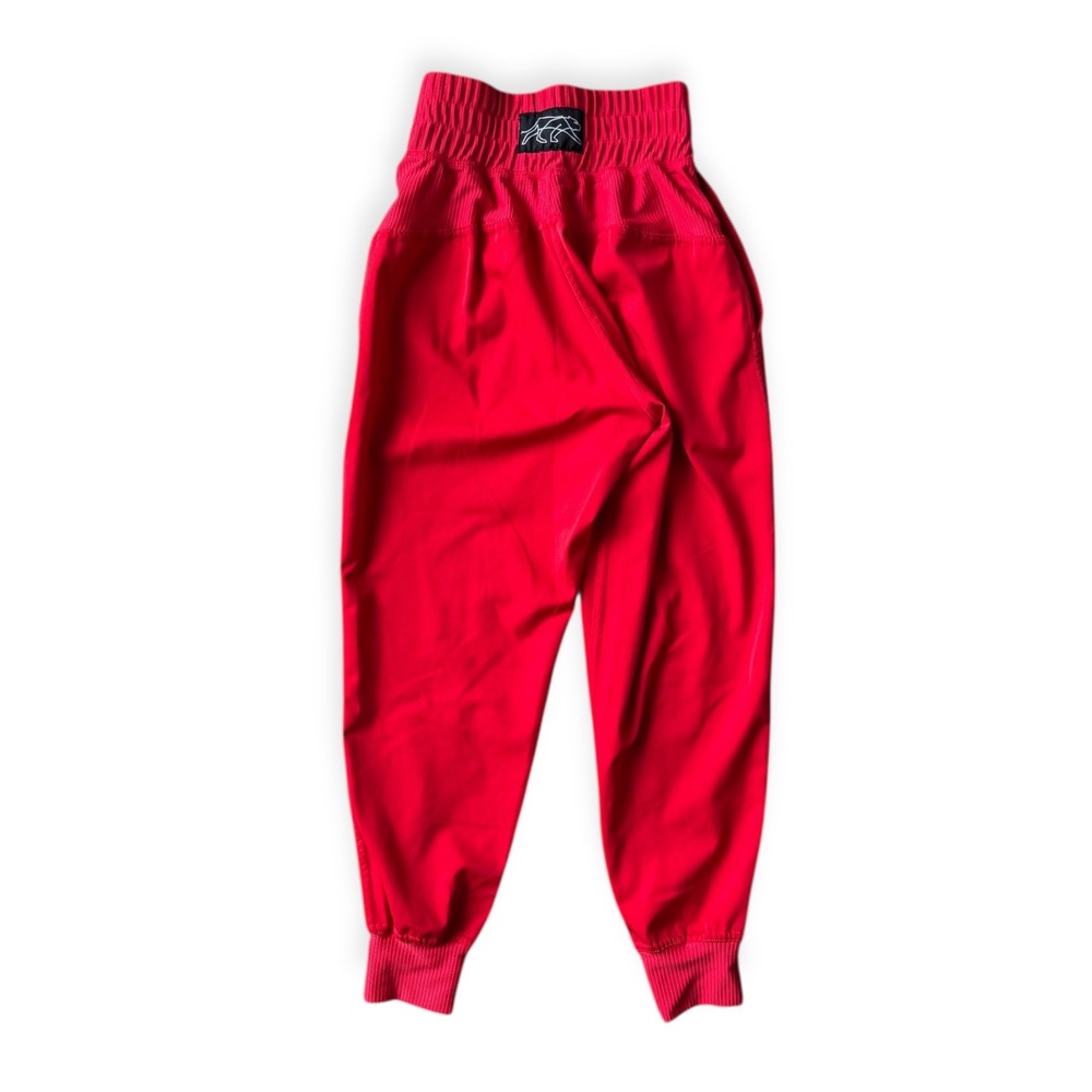 Tiger Friday Flex Jogger in Red Child Large - Picture 3 of 9